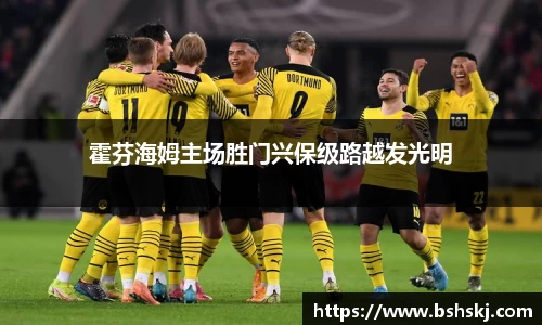 霍芬海姆主场胜门兴保级路越发光明